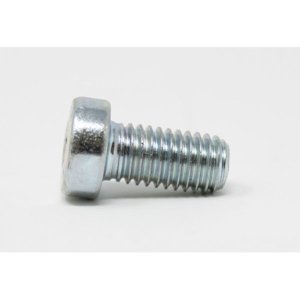 P039 - SCREW