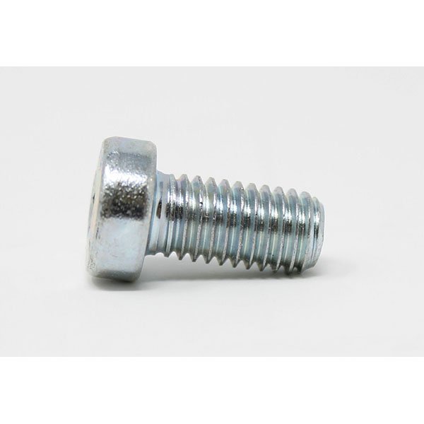 P039 - SCREW