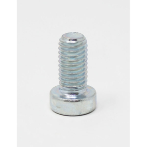 P039 - SCREW - Image 2