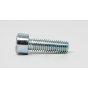 P058 - SCREW