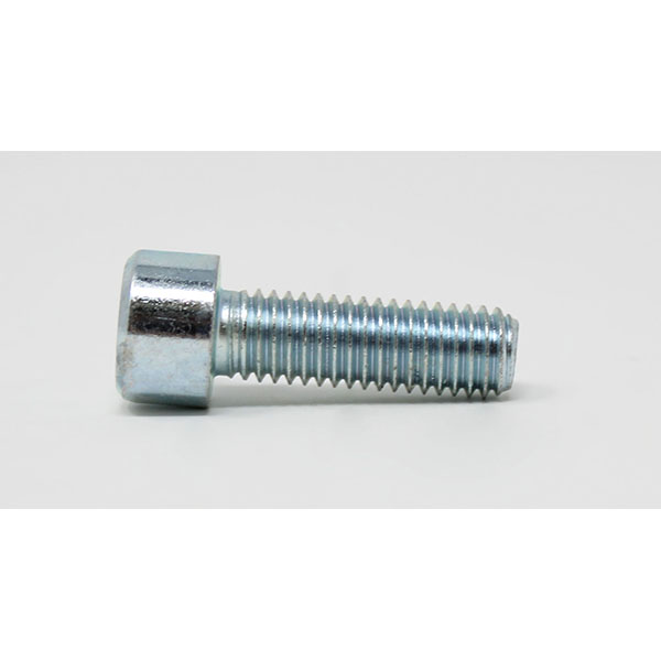 P058 - SCREW