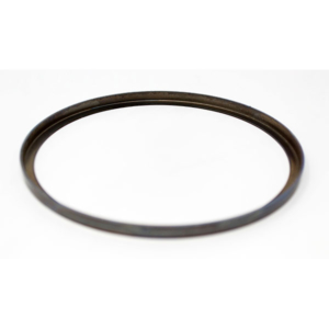 P1019 - RING