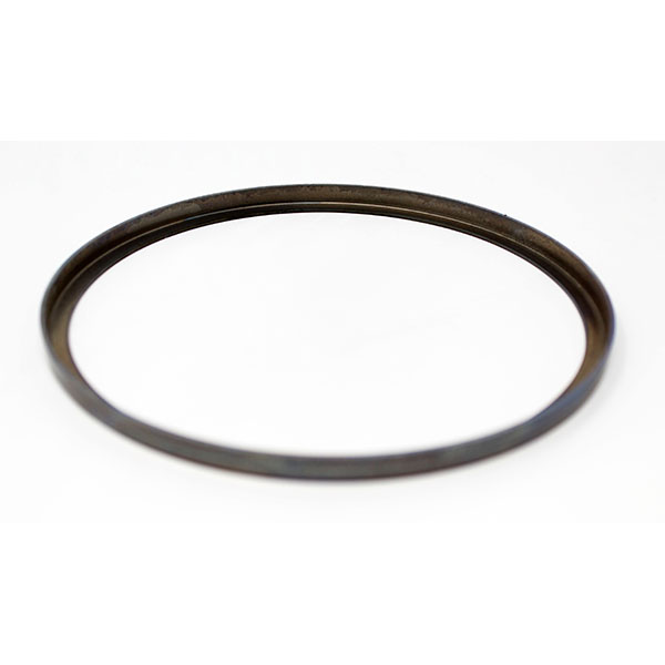 P1019 - RING