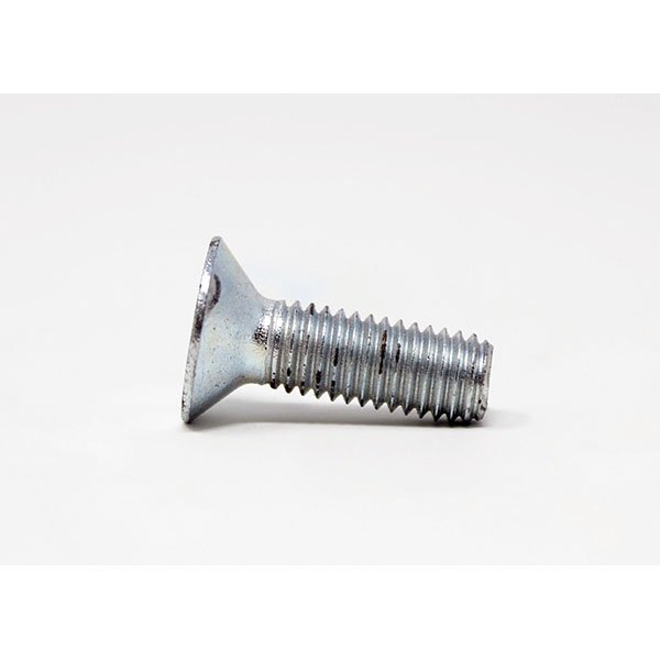P1091 - SCREW