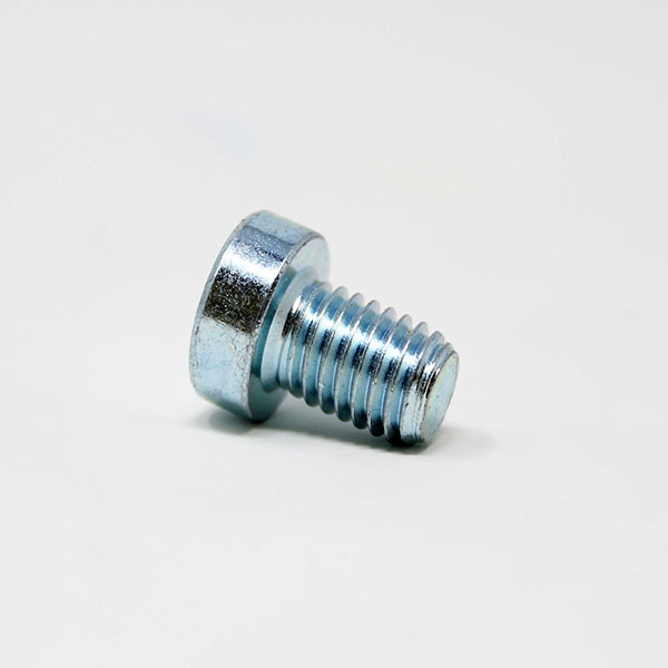 P1134 - SCREW