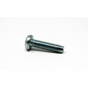 P1217 - SCREW