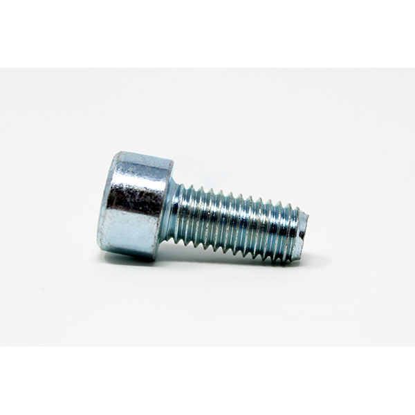 P125 - SCREW