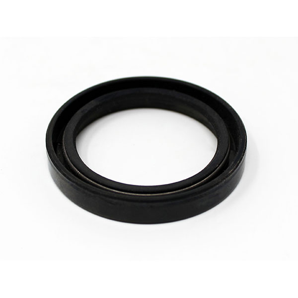 P166 - SHAFT SEAL
