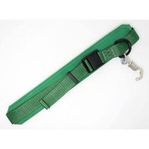 P254 - SAFETY BELT