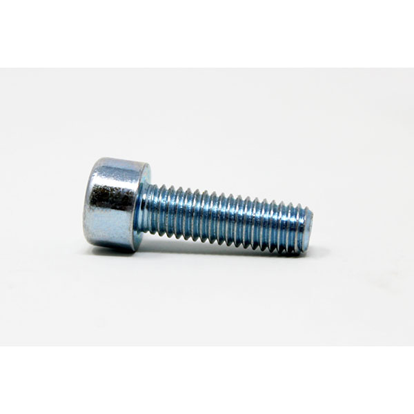 P339 - SCREW
